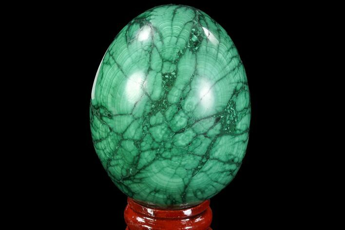 Stunning Polished Malachite Egg - Congo #89663